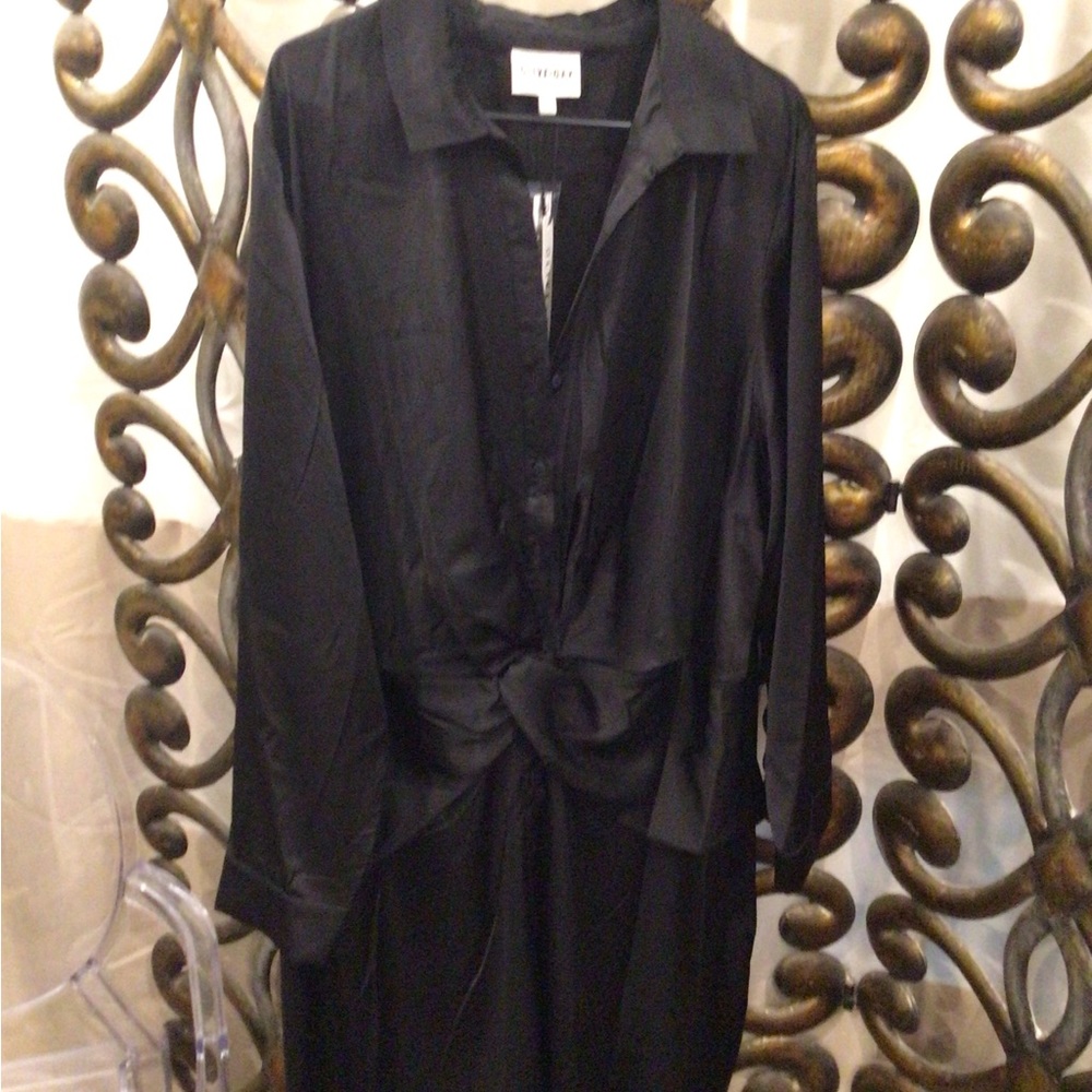 Olive & Oak shirt dress 4x